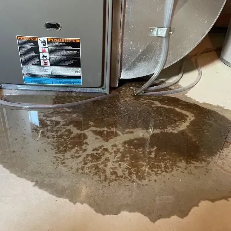 Appliance Leak Cleanup in Plano, KY